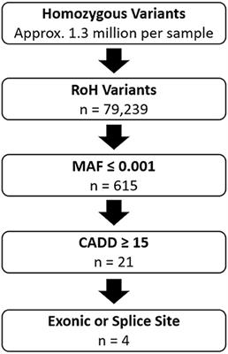 Novel Missense CNTNAP2 Variant Identified in Two Consanguineous Pakistani Families With Developmental Delay, Epilepsy, Intellectual Disability, and Aggressive Behavior